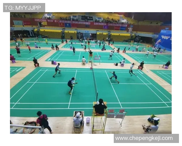 羽毛球单打比赛中关键分数心理素质分析 羽毛球单打比赛中关键分数心理素质分析