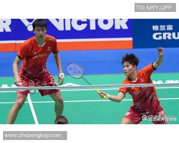 羽毛球混双比赛技术配合及策略研究 羽毛球混双比赛技术配合及策略研究