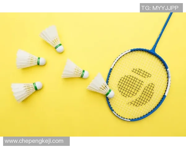 羽毛球运动员伤病康复训练的新理念与科学方法探索研究 羽毛球运动员伤病康复训练的新理念与科学方法探索研究